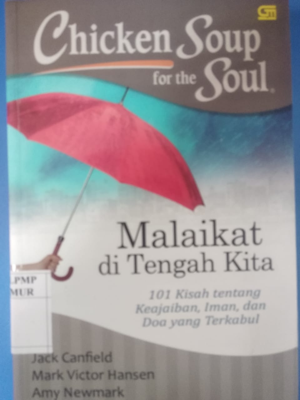 Chicken soup for the soul malaikat di tengah kita