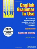 english grammar in use