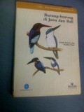 Burung-burung di jawa dan bali