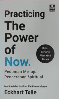 practicing the power of now Meditasi dan latihan the Power of Now